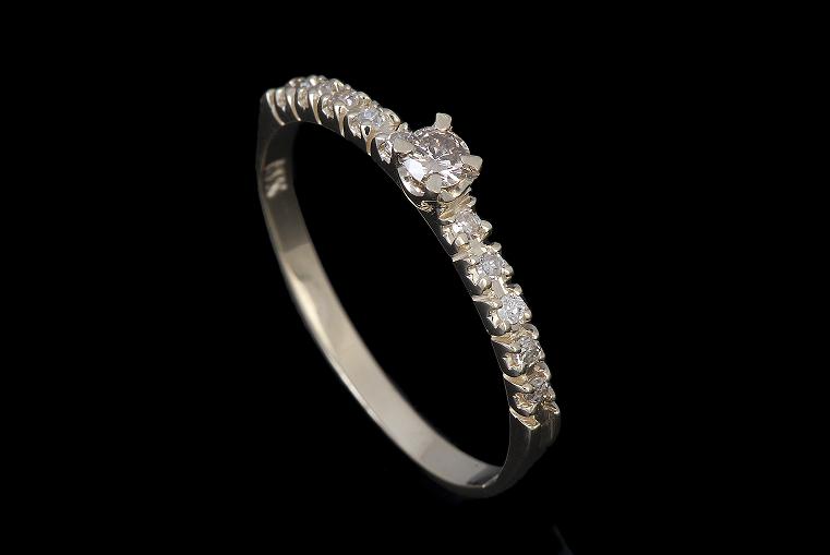 הזמנה אישית  - 3014 SRE-2195 Y